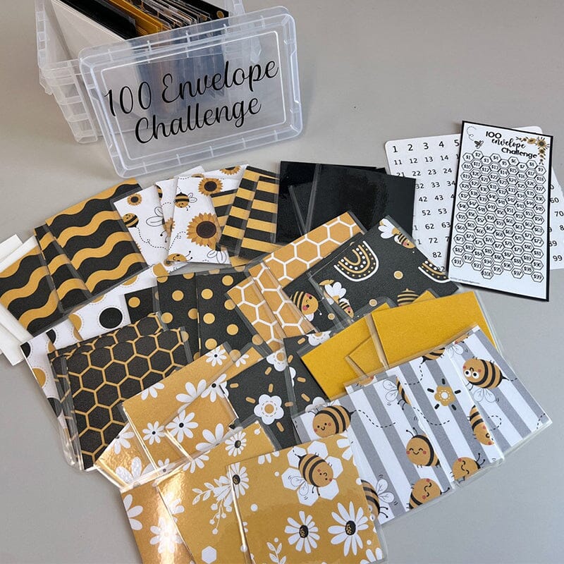 100 Envelope Challenge Box Set💸