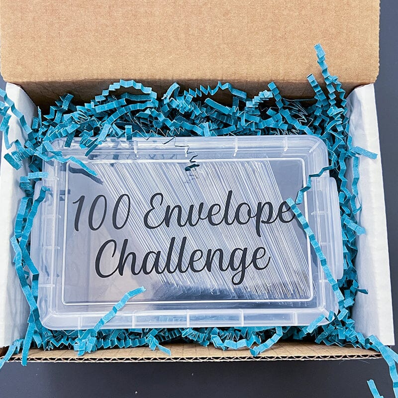 100 Envelope Challenge Box Set💸