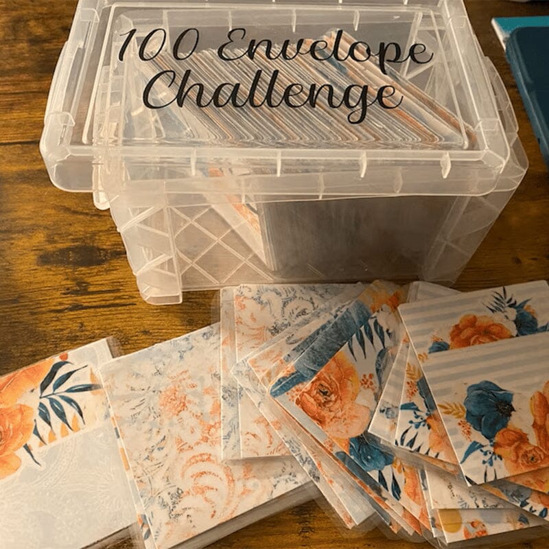 100 Envelope Challenge Box Set💸