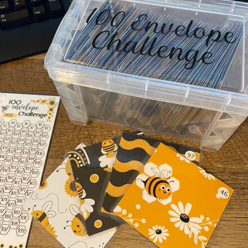 100 Envelope Challenge Box Set💸