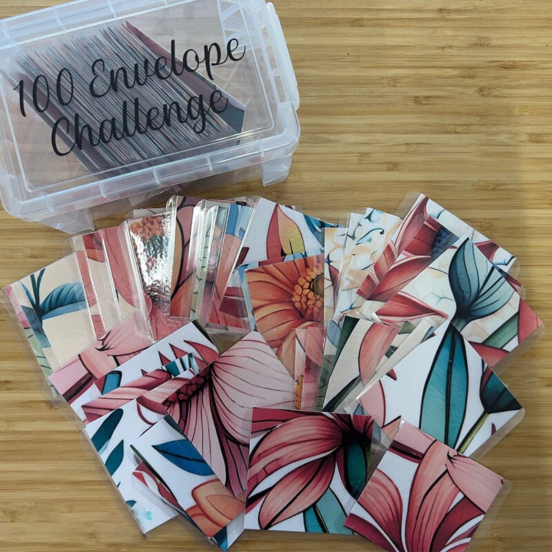 100 Envelope Challenge Box Set💸