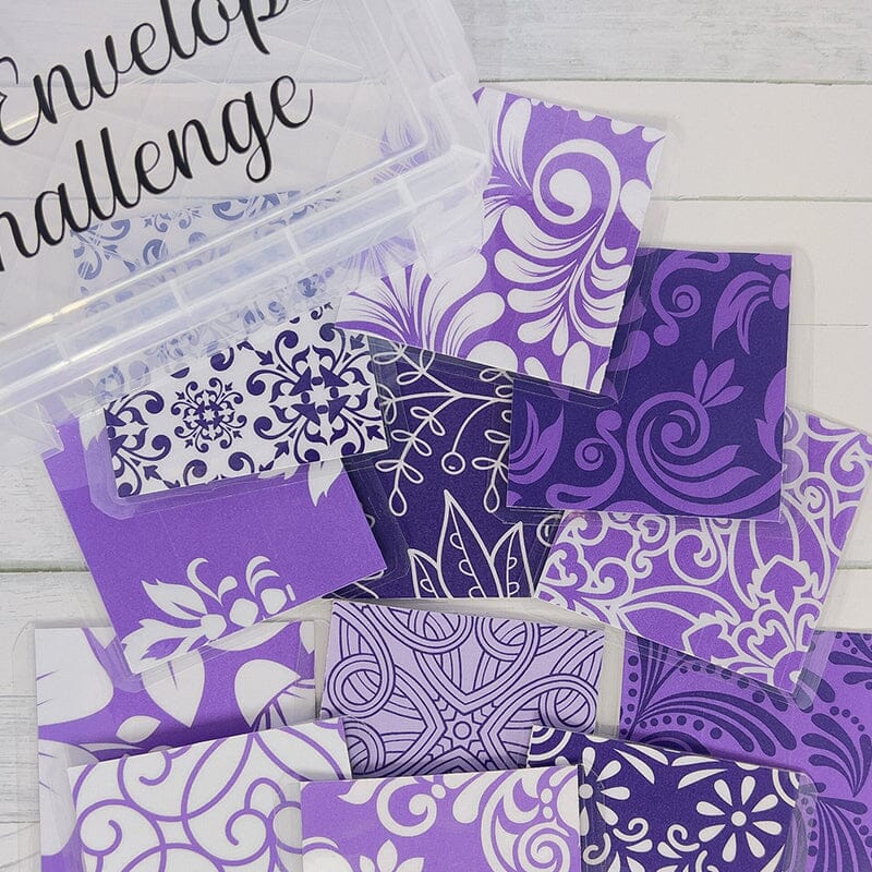 100 Envelope Challenge Box Set💸