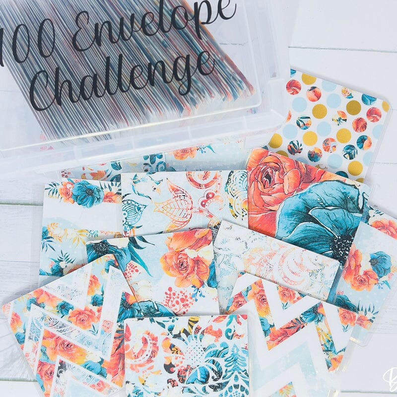 100 Envelope Challenge Box Set💸