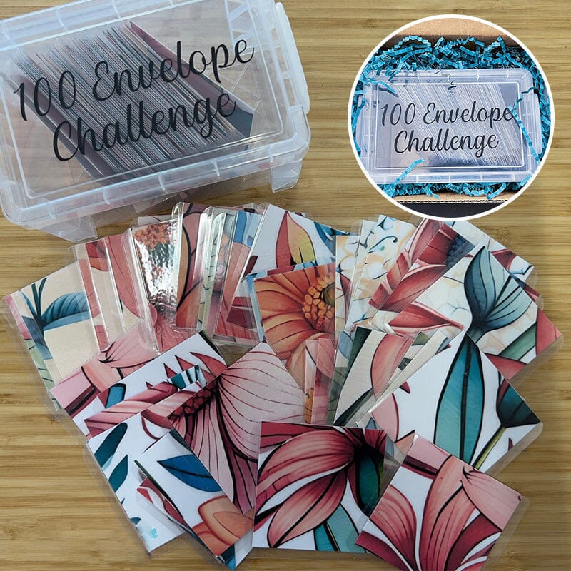 100 Envelope Challenge Box Set💸